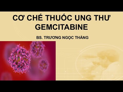 [VIDEO 3] CƠ CHẾ THUỐC UNG THƯ GEMCITABINE