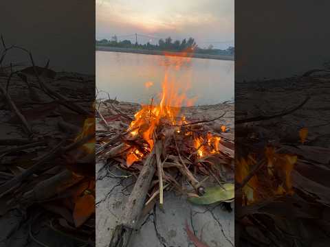 Ngày thứ 2 học câu tô mP2 #cautom #fishing #caucathiennhien #fishinglife #cauca #mayfishing