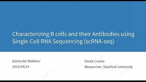 Webinar - Characterizing B cells and their antibodies using single cell RNA sequencing (scRNA seq)