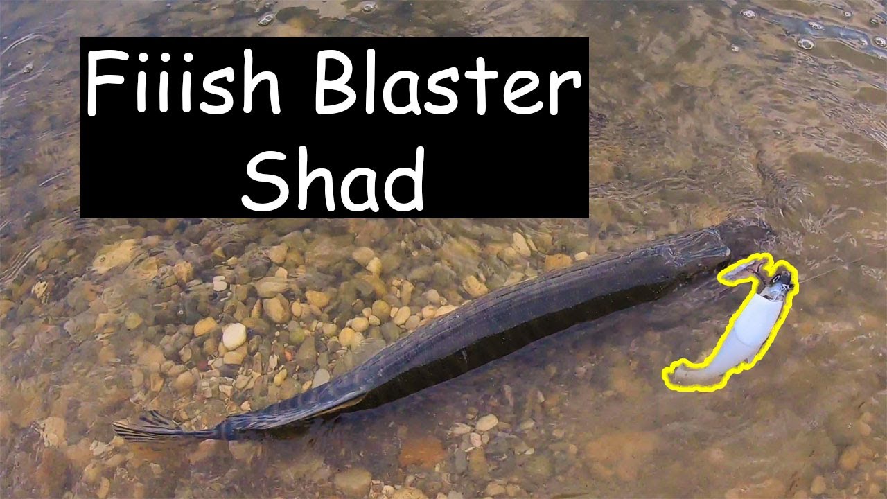 Fiiish Blaster Shad