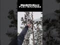 野生の鳥が手に乗る瞬間が可愛すぎる #vtuber