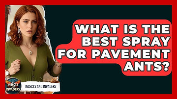 What Is The Best Spray For Pavement Ants? - Insects and Invaders