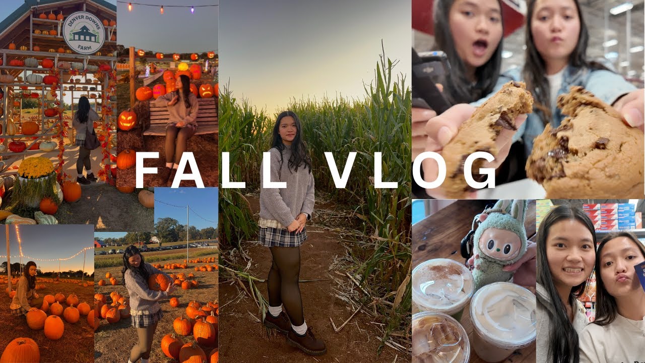 выходные в моей жизни: кофейни, дела по делам и тыквенная грядка