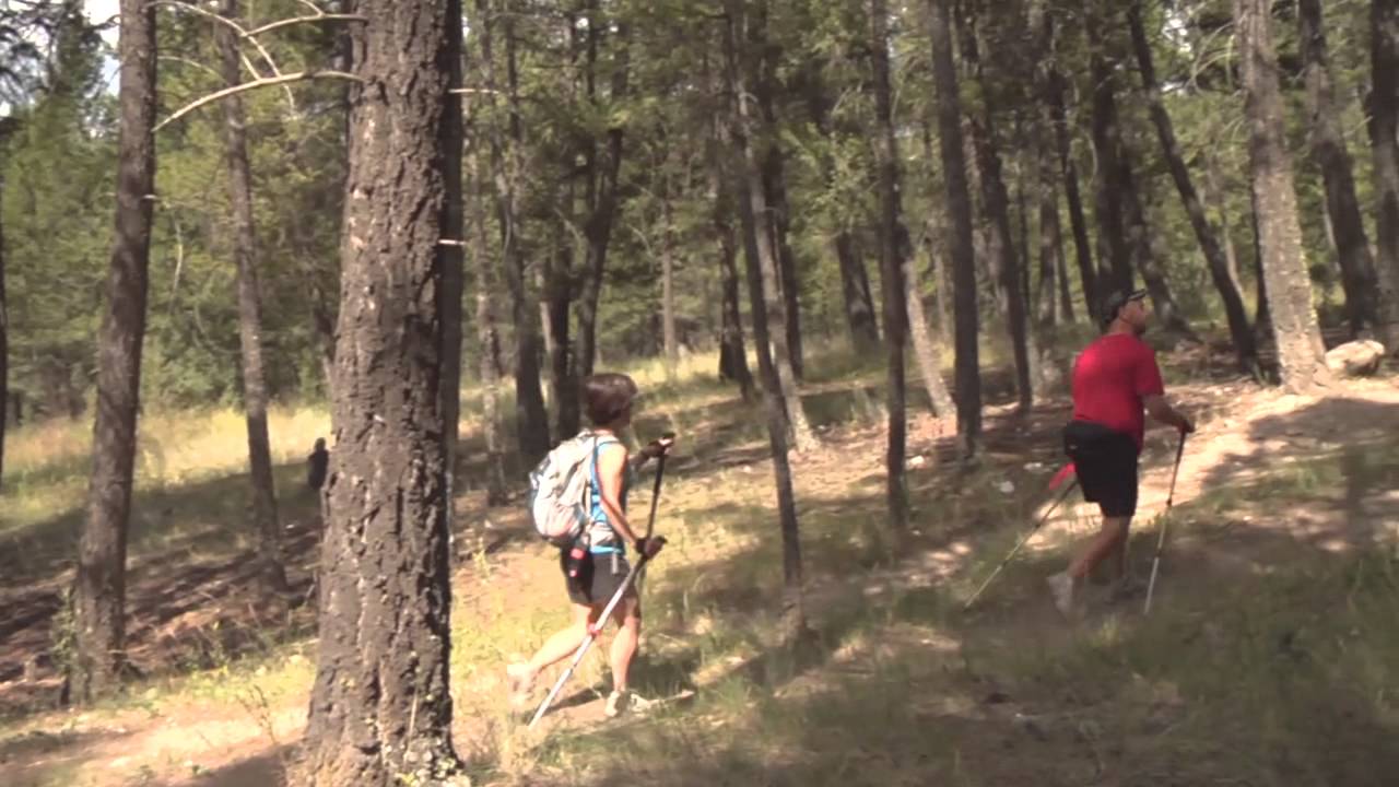 Experience Radium Hot Springs