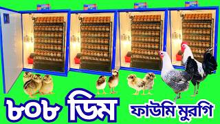 816 Egg Incubator Fayoumi Chicks Hatching 🐣 | ডিম ফোটানোর মেশিনে অসাধারণ রেজাল্ট 2026