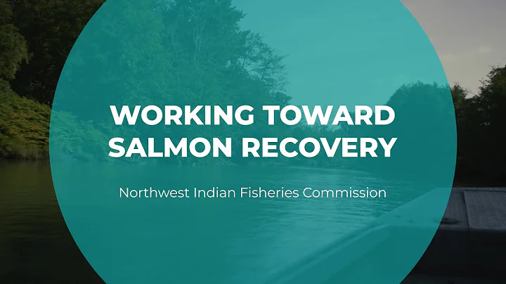 Working Toward Salmon Recovery | Northwest Indian Fisheries Commission | Tomorrow's Catch