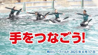 みんなで手をつなごう！【2023年4月17日】鴨川シーワールド