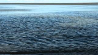 Short Film | Project 40: Lake Winnipeg Research Consortium