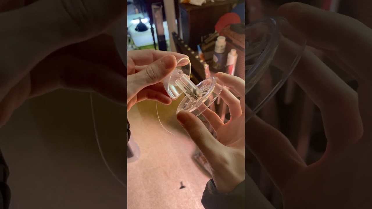 Best Way to Remove Pest Snails FAST! 🐌🛑