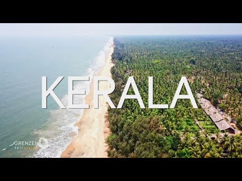 Video: Welcher Wald befindet sich in Kerala?