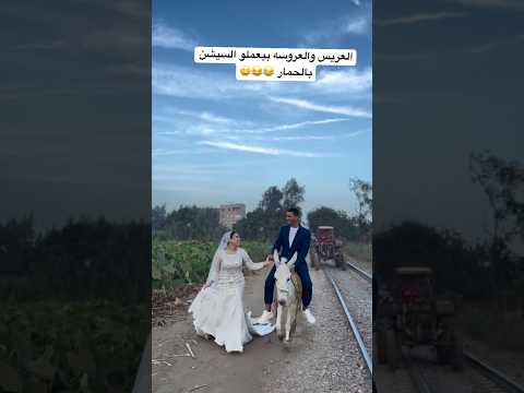 العريس والعروسه بيعملو السيشن بالحمار  تفريح اكسبلور ارقص افراح دحيه رقص 