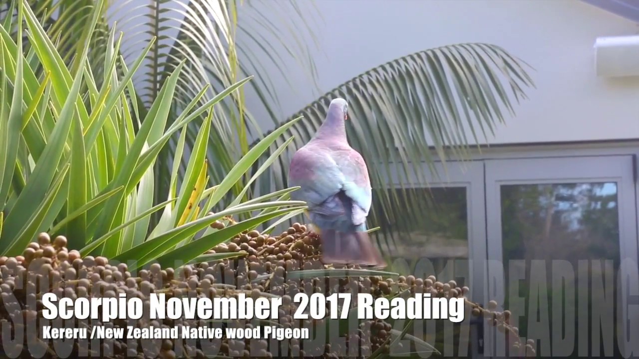 Scorpio November 2017 Tarot Reading