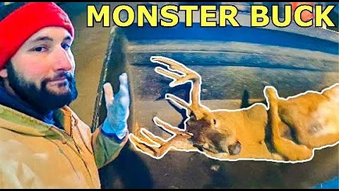 MONSTER IOWA DEER DESTORYED MY CAR