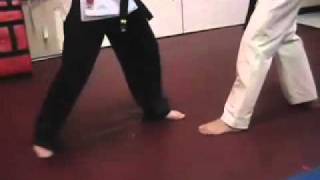 Steve Sexton teaching Hapkido shin Kick