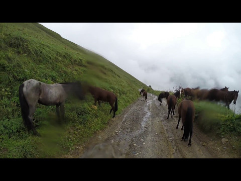 Pętla Swanecka, Gruzja 2016 HD