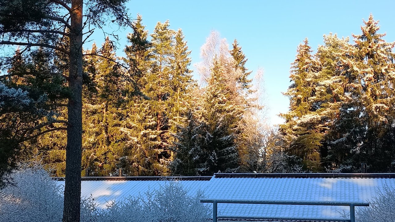 УКРАИНЦЫ В ФИНЛЯНДИИ 🇫🇮 МОИ ВПЕЧАТЛЕНИЯ СПУСТЯ 4 МЕСЯЦА 🏠