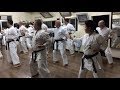 Shorin-Ryu Kyudokan- Kihon,Katas training