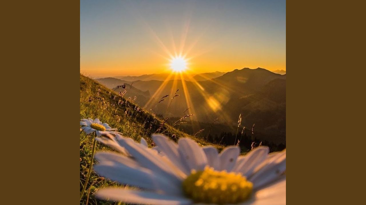 Watch Rise and shine on YouTube Watch Rise and shine on YouTube