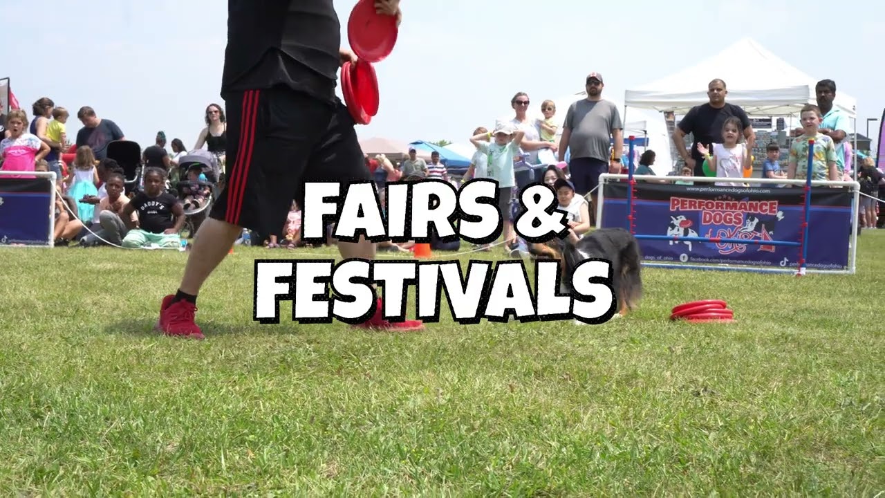 Performance Dogs of Ohio - 2026 Hype Video - Frisbee, Trick, Agility and Stunt Dog Show