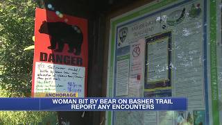 Brown bear attack leaves woman in hospital