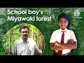 Pranav’s Miyawaki Forest | Front yard forest by a schoolboy | Malayinkeezhu | Thiruvananthapuram