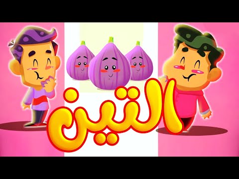 التين طيور بيبي Toyor Baby