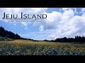 The Nature of Jeju Island, Korea. 제주도 여행