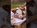 A relaxing spa day with a baby calf 🐼 #ASMR #Cute #cow #AI