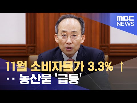 11월 소비자물가 3.3% ↑‥ 농산물 &amp;#39;급등&amp;#39; (2023.12.05/12MBC뉴스)
