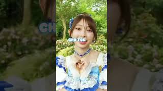 Download Lagu les groupe où j'ai pas changé de bias #chotokimekisendenbu #kawaiimemorial MP3