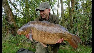 The missing CARP