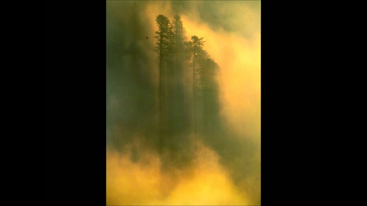 Barb Jungr - Sara (HD Sound)