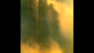 Barb Jungr - Sara Hd Sound