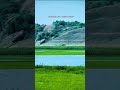 jawai leopard safari #viral #foryou #shorts #popular