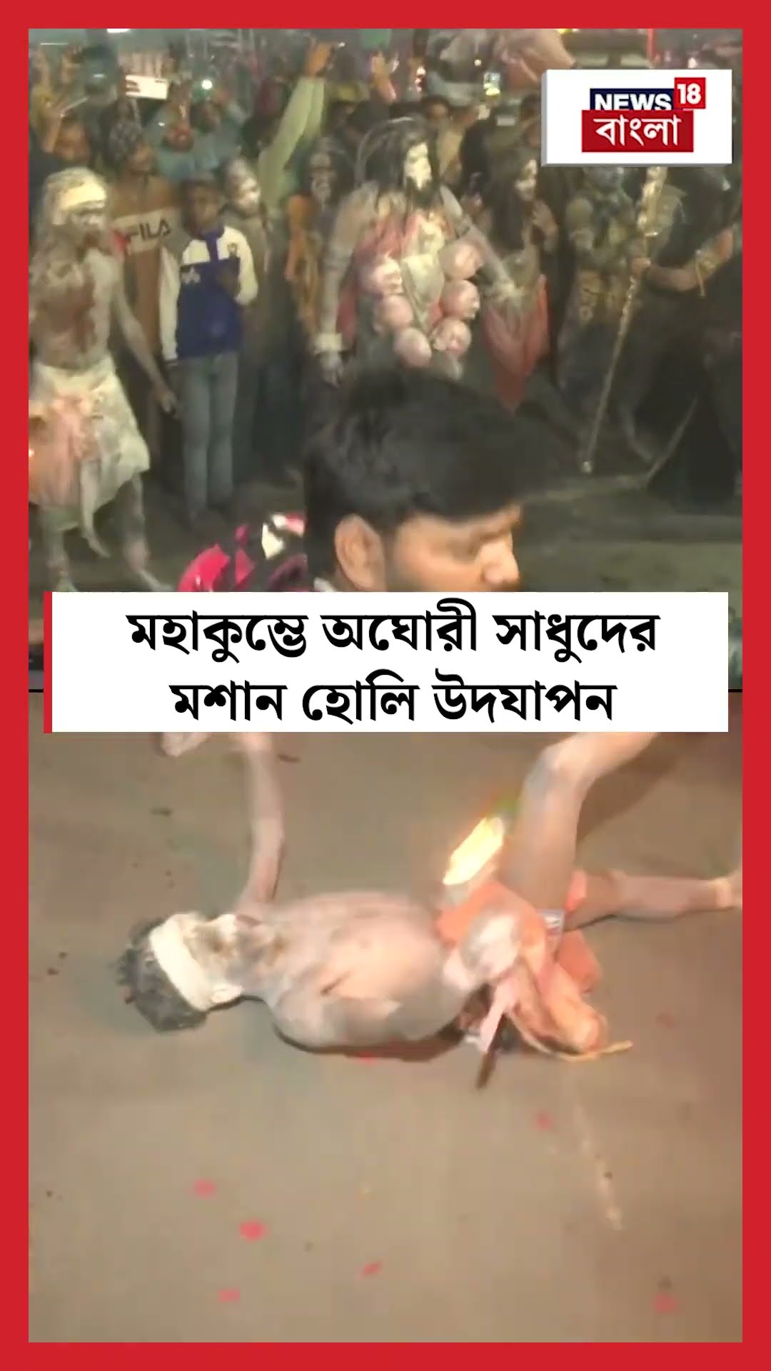 Maha Kumbh এ অঘোরী সাধুদের মশান হোলি উদযাপন, দেখুন | N18S | #shorts
