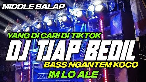DJ PARTY IM LO ALE TJAP BEDIL ANDALAN BREWOG AUDIO BY HKS PROJECT