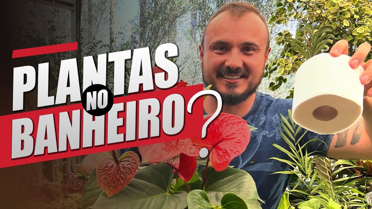 PLANTAS para BANHEIRO | Aprenda como ESCOLHER e cuidar