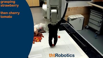 Adaptive Robotic Gripper. Grasping mixed strawberries, cherry tomatoes and grape beans