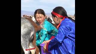 картинка: 🐐Ямаа саах ажлын хажуугаар ямаагаа уралдуулж хөгжилдөөд амжлаа шүү...