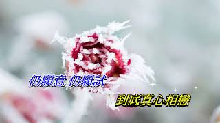 談情說愛   葉蒨文 ‧ 鄭秀文〈歌手演唱版〉