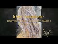 Balayage - Blond - Verblenden ( Gloss ) ( Kategorie Expert )