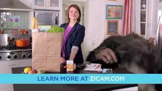 Zicam Cold Remedy Nasal Spray