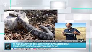 Φίδια και αλλεργίες με τον Γιώργο Κωνσταντίνου - Πρωτοσέλιδο - SIGMA TV - NEWS - 1/6/2023