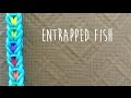 Rainbow loom bands Entrapped Fish bracelet tutorial