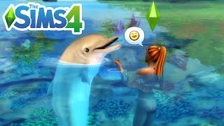 How To Find A Dolphin - The Sims 4