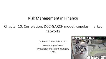 Risk Management in Finance: 13. Correlation, DCC-GARCH model, copulas, market networks.