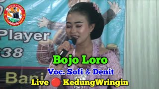 Bojo Loro || Voc. Sofi & Denit || New Arista Music || Banjarnegara || Live π΄ KedungWringin