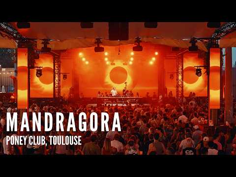 Mandragora at Poney Club 2026
