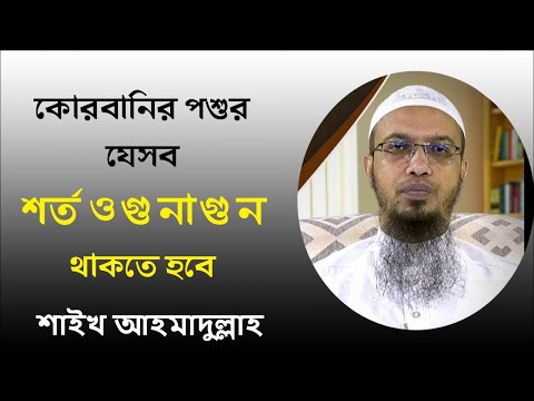 ভিডিও: একটি প্যারেটো চার্ট তৈরি করা। অনুশীলনে প্যারেটো চার্ট