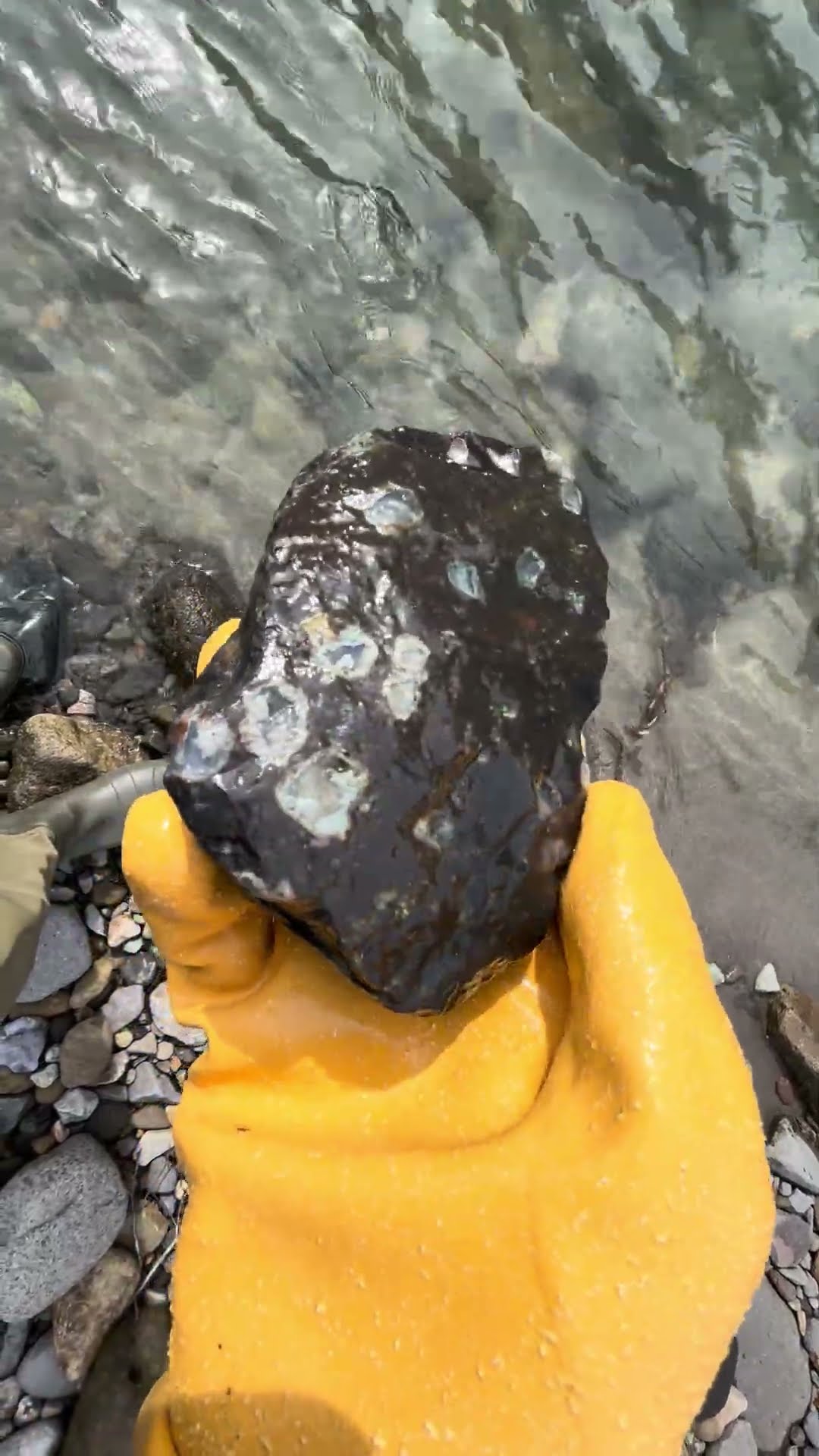 Opal spherulitic rhyolite球顆流紋岩#shorts #stone #opal #nature